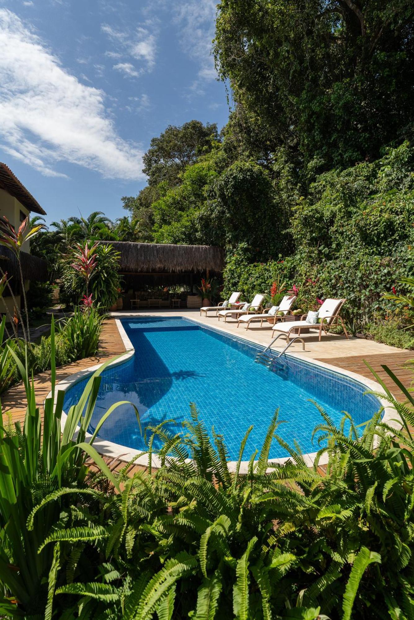 Samambaia Trancoso
