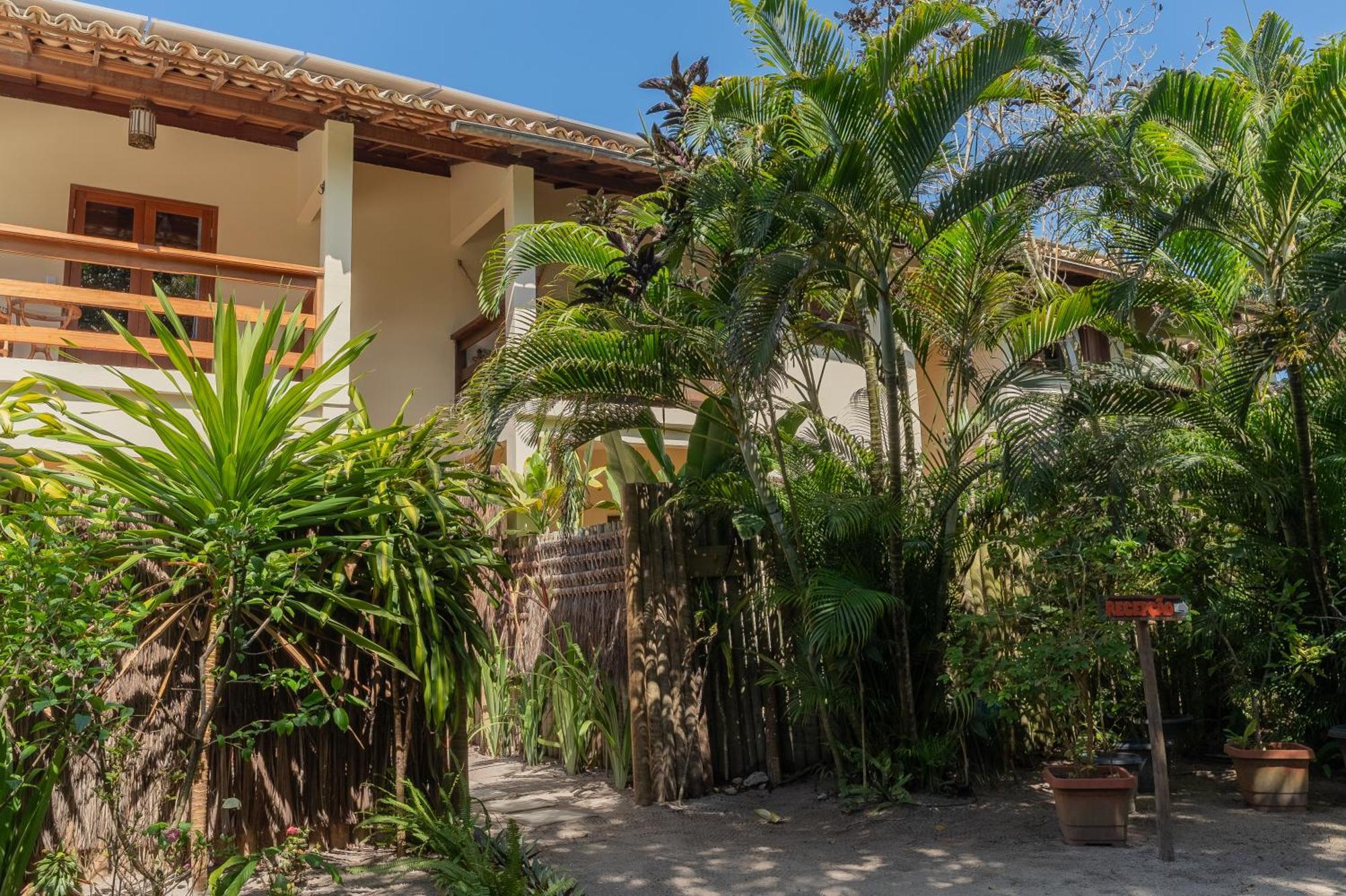 Samambaia Trancoso
